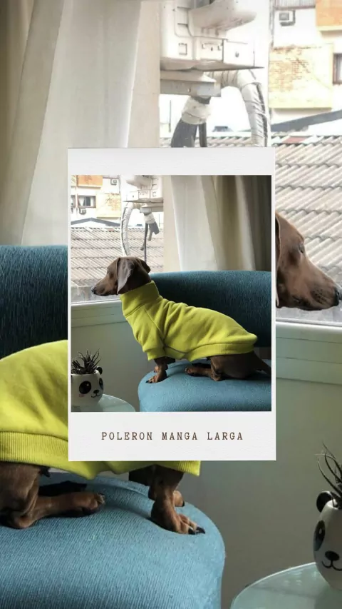 POLERON MANGA LARGA