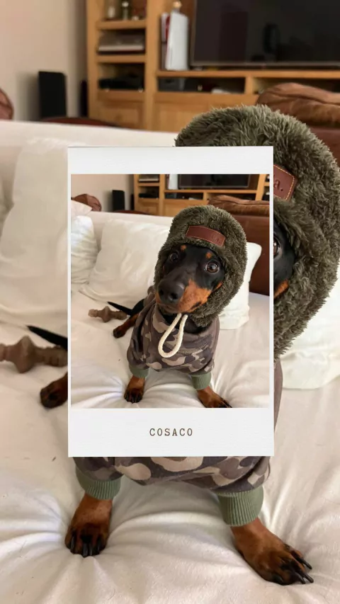 COSACO
