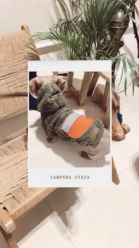 CAMPERA OVEJA MANGA LARGA
