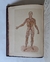 El médico práctico y doméstico - J. Lyon (1889) en internet