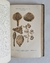 Historia natural: Botánica I - Don Odón de Buen (1920) (TOMO 8) - comprar online