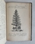 Imagen de Historia natural: Botánica I - Don Odón de Buen (1920) (TOMO 8)