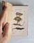 Historia natural: Colección completa (12 VOLUMENES) - El Gabinete de Curiosidades