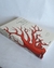 Cabinet of natural curiosities - Albertus Seba (XL) en internet