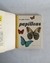 Las mariposas más bellas - Charles Ferdinand - El Gabinete de Curiosidades