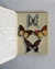 Las mariposas más bellas - Charles Ferdinand
