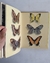 Las mariposas más bellas - Charles Ferdinand - El Gabinete de Curiosidades