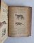 Historia natural: edición popular - Odón de Buen (2 TOMOS) (circa 1898) - El Gabinete de Curiosidades