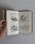 Las ciencias naturales al alcance de los niños - Luis Nata Gayoso (1876) en internet
