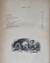 Las creaciones de Schiller - Enrique Massaguer (1913) - El Gabinete de Curiosidades