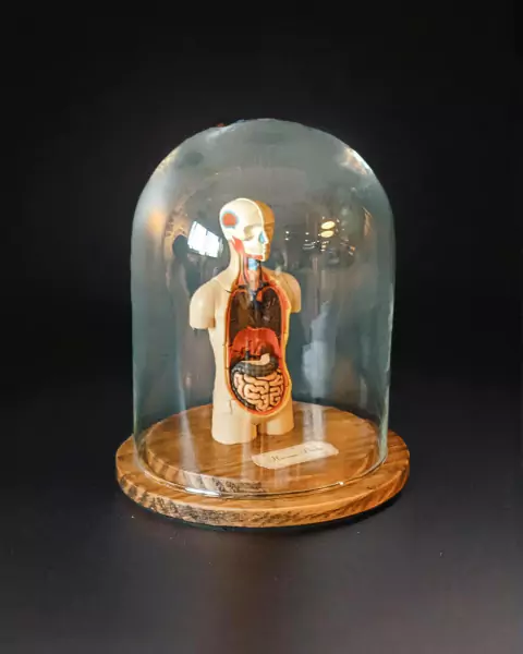 Cúpula con cuerpo humano