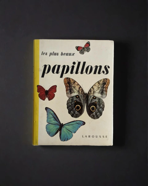 Las mariposas más bellas - Charles Ferdinand - comprar online