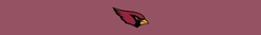 Banner da categoria ARIZONA CARDINALS