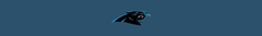 Banner da categoria CAROLINA PANTHERS