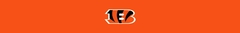 Banner da categoria CINCINATTI BENGALS