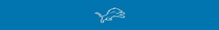 Banner da categoria DETROIT LIONS