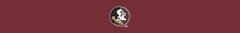 Banner da categoria FLORIDA STATE SEMINOLES 