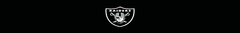 Banner da categoria LAS VEGAS RAIDERS