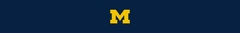 Banner da categoria MICHIGAN WOLVERINES