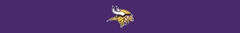 Banner da categoria MINNESOTA VIKINGS