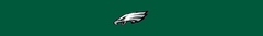 Banner da categoria PHILADELPHIA EAGLES