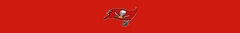Banner da categoria TAMPA BAY BUCCANNERS