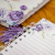 Combo 103 Arquivos – Capas Álbum Devocional Blocos Planejadores Papel Carta Marca Páginas Coleção Violeta na internet
