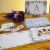 Imagem do Combo 103 Arquivos – Capas Álbum Devocional Blocos Planejadores Papel Carta Marca Páginas Coleção Violeta