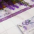 Combo 103 Arquivos – Capas Álbum Devocional Blocos Planejadores Papel Carta Marca Páginas Coleção Violeta - loja online