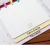 Imagem do Bloco de Disco com capa cartonada Unifofo + Video Aula - Metamorpaper