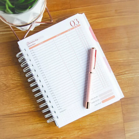 Combo Miolos Agendamentos 2024 + Perm. Datado + Perm. Não Datado – Amarantto