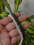 COLLAR PERLAS en internet