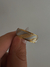 ANILLO MIP en internet