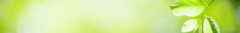 Banner de la categoría DMSO