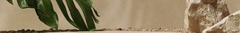 Banner de la categoría Ormus
