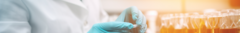 Banner de la categoría CDS