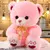Urso de Pelúcia Grande Hugale – Brinquedo de Alta Qualidade, Fofo e Macio | Presente de Aniversário - comprar online