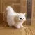 Gato de Pelúcia Realista Simulado – Brinquedo Macio para Crianças e Presentes Românticos - Loja MMK