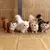 Gato de Pelúcia Realista Simulado – Brinquedo Macio para Crianças e Presentes Românticos - comprar online