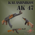 Quebra cabeças 3D AK-47 em MDF 3mm Pintura- Darama