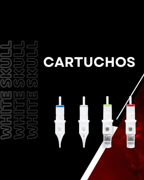 Carrossel 1