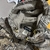 CAMPERA REALTREE - comprar online