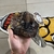 CAP REALTREE en internet