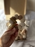 Box Tiny•Gurrumis en internet