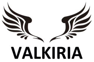 Valkiria Store