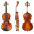 Violino Di Pietro Professionale SVM100 4/4
