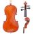 Viola de Arco Di Pietro Scolaro SAG101 Ajustado Por Luthier na internet