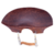 Queixeira Violino Di Pietro Central Old Flesch Tamarindo 4/4