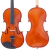 Viola de Arco Di Pietro Scolaro SAG101 Ajustado Por Luthier