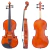 Viola de Arco Di Pietro Scolaro SAG101 Ajustado Por Luthier - Liutaio Brasil